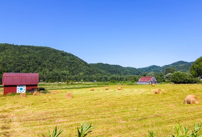 Golden field on a farm in Valle Crucis, North Carolina